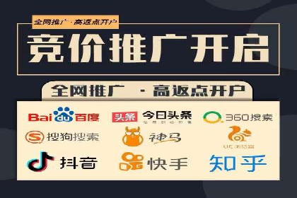 顶级SEM服务公司案例解析